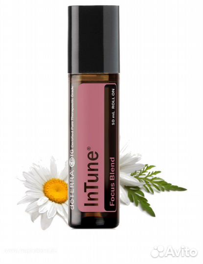 Doterra InTune смесь эфирных масел