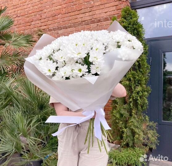 Хризантема Доставка цветов