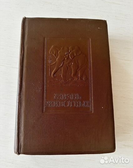 Энциклопедия Жизнь животных 1941 год