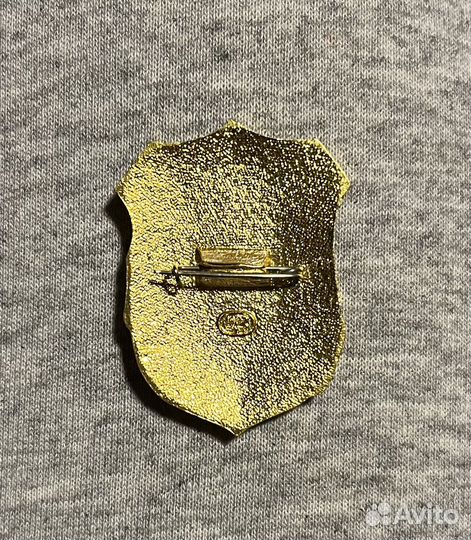 Значок Дружинник (2 вида)