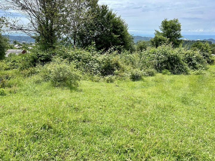 Участок 6 сот. (СНТ, ДНП)