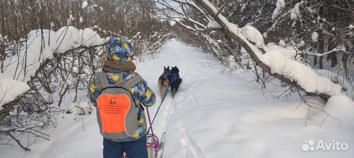 Нарты самодельные