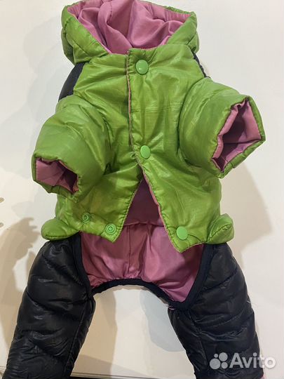 Комбинезон для маленькой собаки