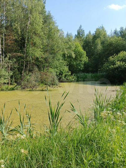 Участок 12 сот. (СНТ, ДНП)