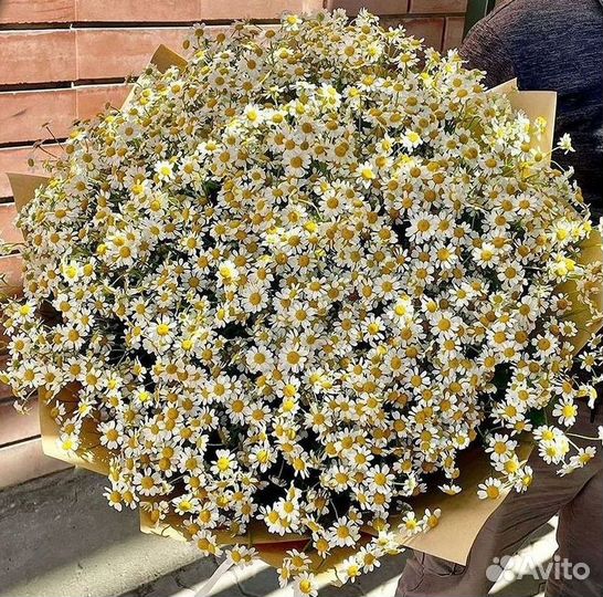 Цветы ромашки. Букеты ромашек. Цветы доставка