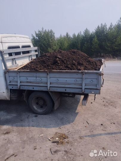 Перегной навоз