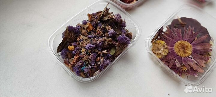 Сухоцветы/сухие цветы/гербарий