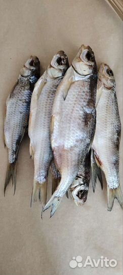 Астраханская вобла вяленая