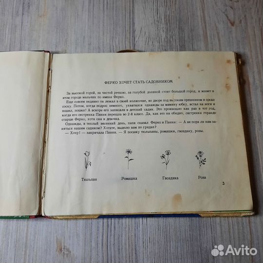 Ферко кем ты хочешь быть Папа