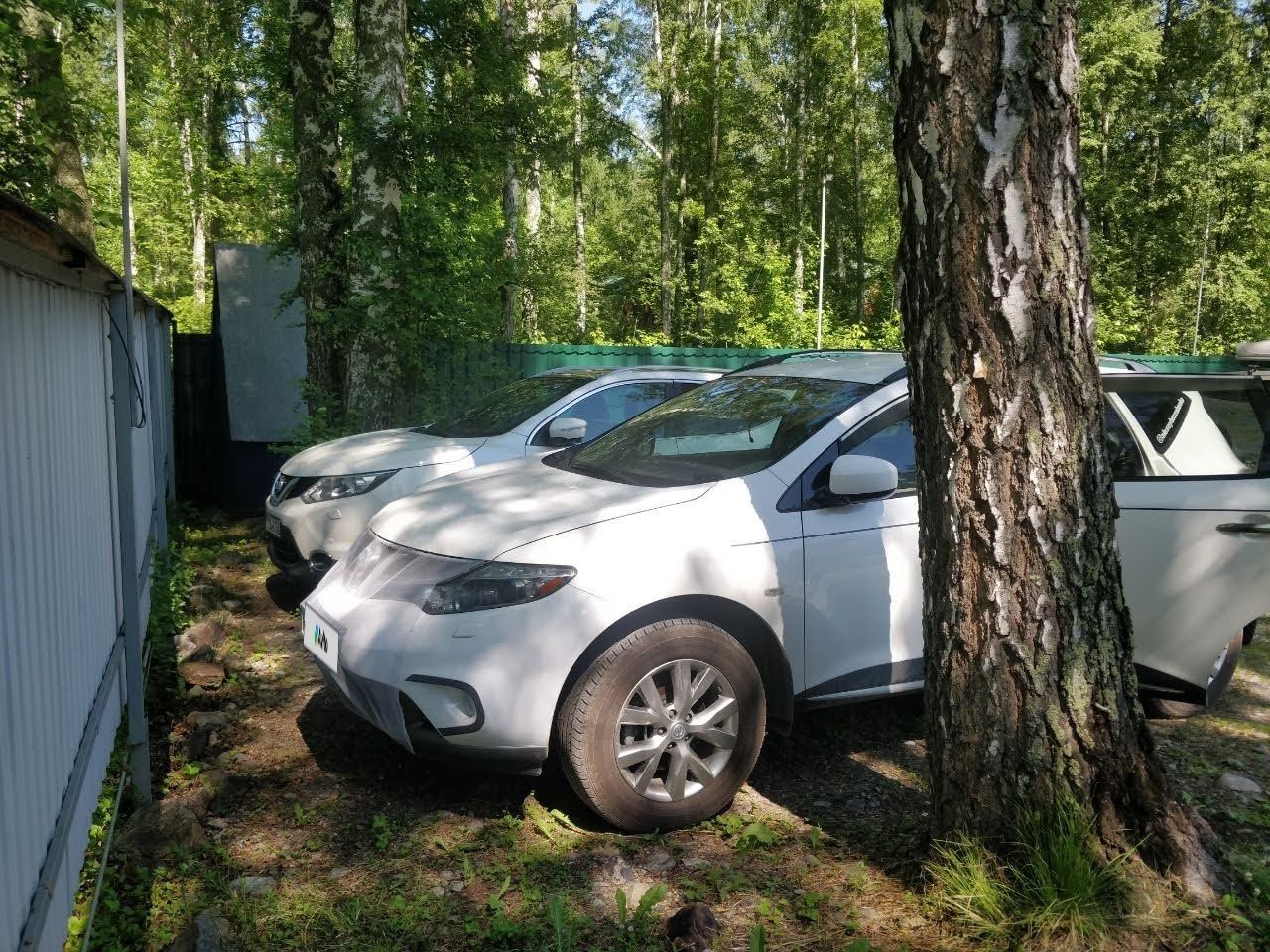 Nissan Murano: фото владельца