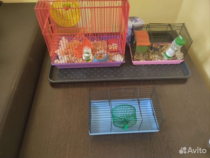 Клетка для джунгарского хомяка