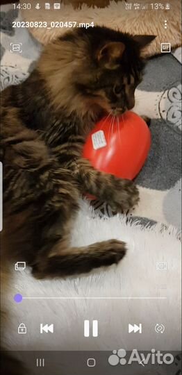 Игрушка для собак 