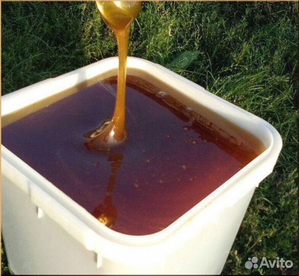 Мёд Липовый.Акация.Разнотравье оптом от 100 кг