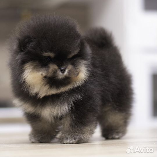 Милашка