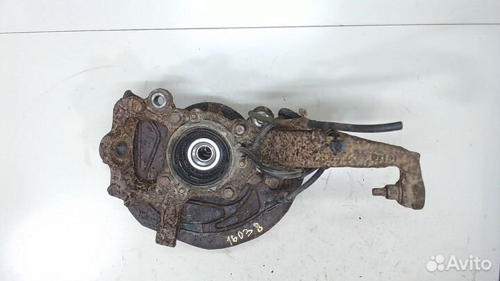 Ступица (кулак, цапфа) Ford F-150, 2010