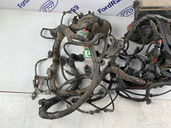 Проводка подкапотная Ford Focus 3 CB8 1.6