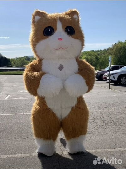 Поздравления огромного танцующего кота и гориллы