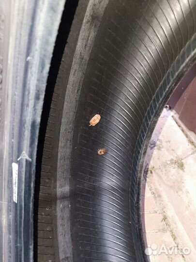 Bridgestone Dueler H/L 422 Ecopia 245/55 R19 103T