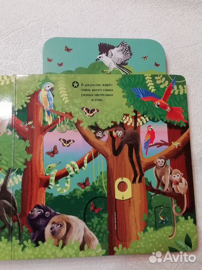 Книги познавательные для малышей