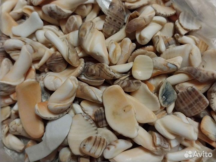 Наполнитель для аквариума камни, ракушки, стекло