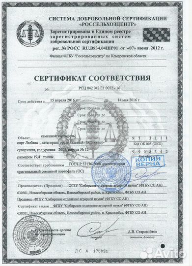 Семенной картофель Любава супер элита