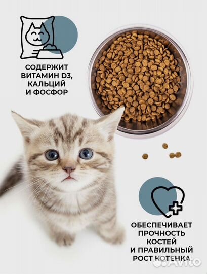 Корм для котят monge