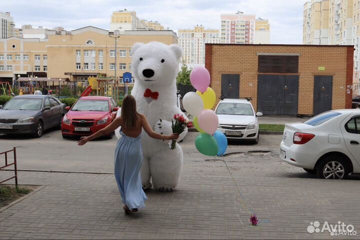 Огромный Белый медведь поздравление / Белый мишка