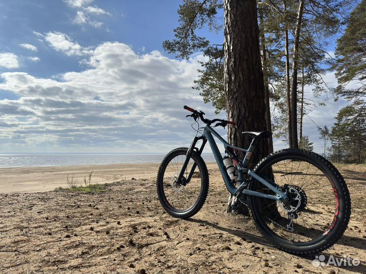 Specialized Stumpjumper Men Expert 29