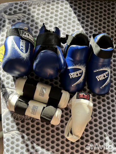 Амуниция (защита)