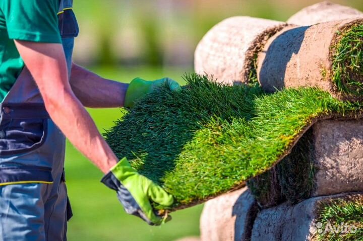 Укладка рулонных газонов под ключ