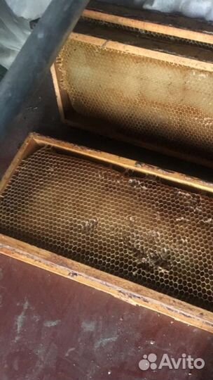 Продам рамки с сушью магазинные