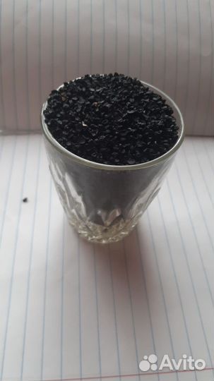 Чернушка Белозерского сеянца