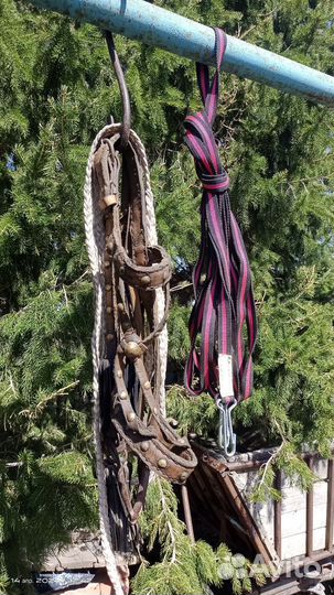 Сбруя для лошади