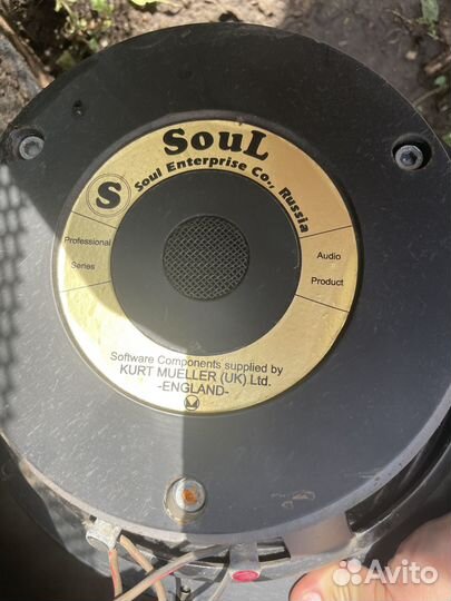 Динамики концертные