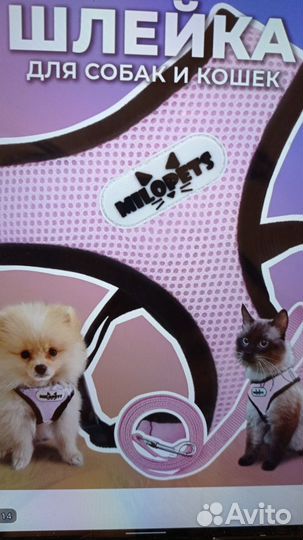 Шлейка для собаки