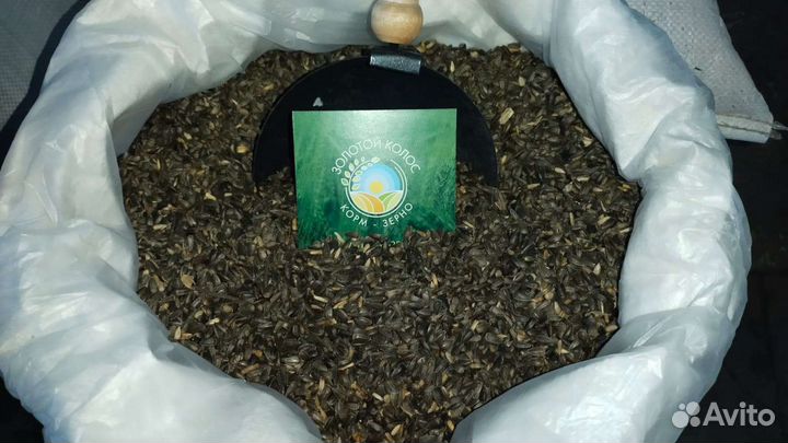 Комбикорм зерно доставка