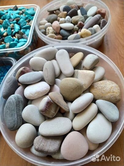 Грунт ракушки для аквариума