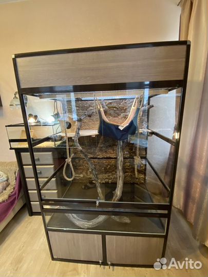 Террариумы для игуан, лемуров, галаго, обезьянок