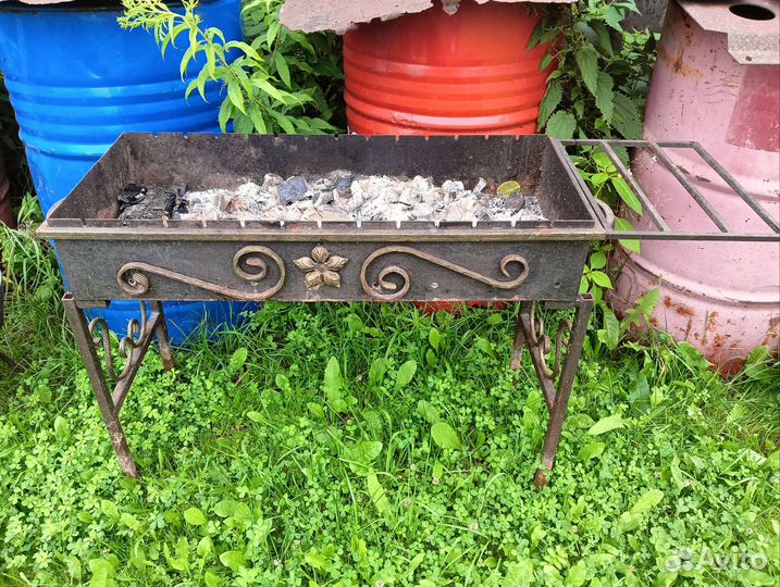 Фикус бенджамина