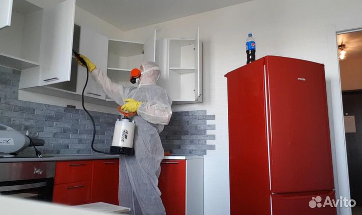 Тараканов клопов клещей комаров плесени борщевика