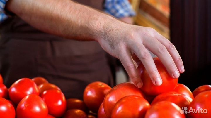 Разнорабочие оплата ежедневная