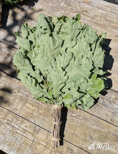 Веники для бани