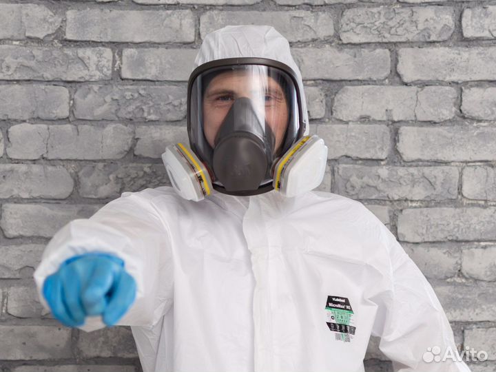 Уничтожение клопов тараканов блох дезинфекция