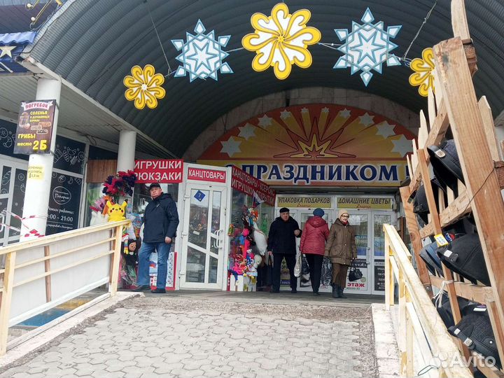 Гусь обнимусь