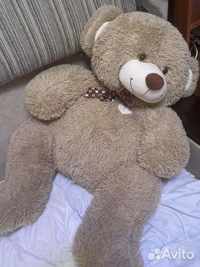 Плюшевый медведь