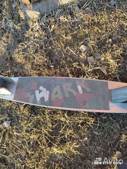 Самокат Shark