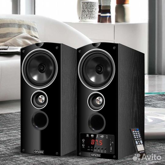 Акустическая система 2.0 Ginzzu GM-301