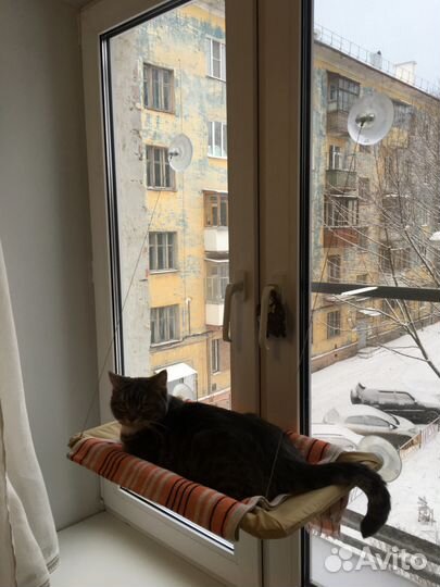 Гамак для кошки на окно