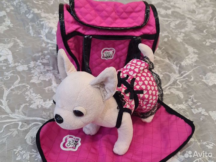 Собачка чичи лав chi chi love