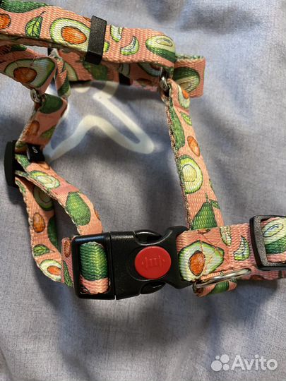 Шлейка для собак Little Bu